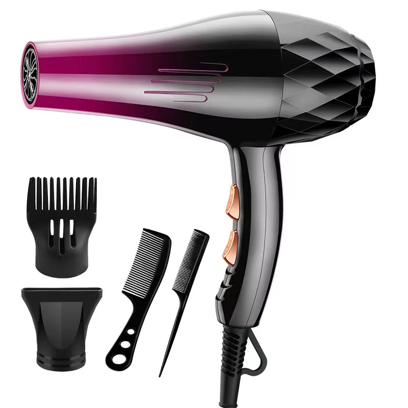 A002P Professional Hair Dryer